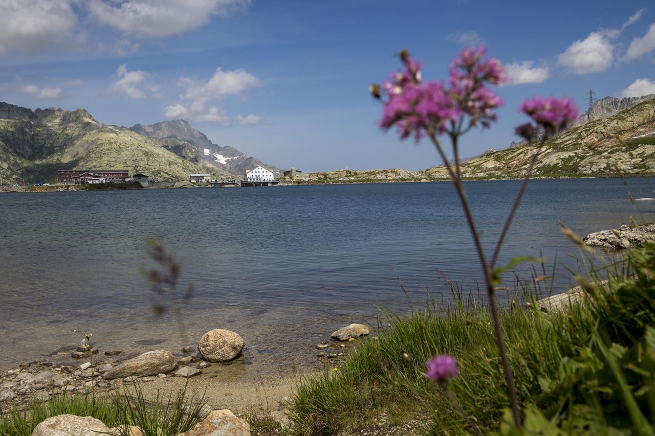 Hotel Grimsel Passhoehe โอเบอร์วัลด์ ภายนอก รูปภาพ
